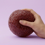 Bayberry Slushy Squishy